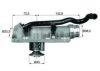 VW 07D121111R Thermostat, coolant